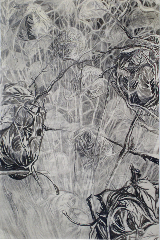 Příbytky ve větvích, uhel na papíře, 100x120, 2004