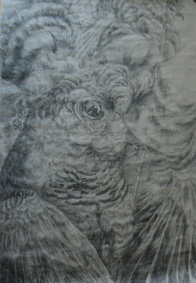 Pták, uhel na papíře, 100x140, 2005